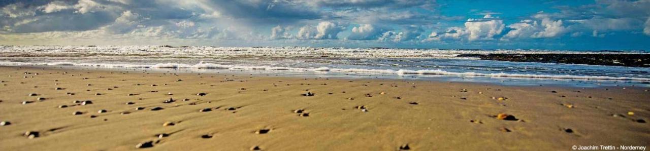 Villa Rosenhof Norderney Dış mekan fotoğraf