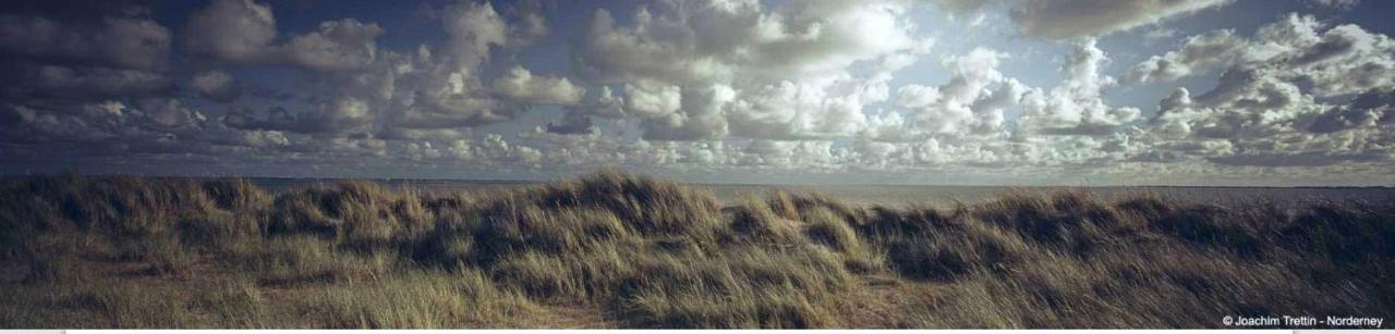 Villa Rosenhof Norderney Dış mekan fotoğraf