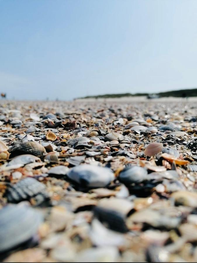 Villa Rosenhof Norderney Dış mekan fotoğraf